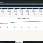 Screenshot 1619 | eFinancialModels Feed & Nutrition dashboard: yearly metrics table (2026–2035) with a chart of feed cost and FCR.