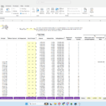 Spreadsheet showing a loan model with columns for Beginning Balance, Principal, Interest, and total debt in an Executive Summary tab