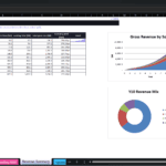 Screenshot 2079 | eFinancialModels Dashboard: Gross revenue summary with a multi-column table (Year, Net interchange, Float income, Platform fees, Lending NIM) and a line-style trend; chart titled 'Gross Revenue by Source ($M)'.