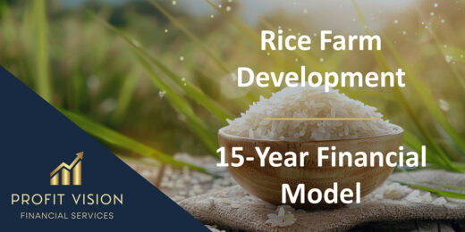Rice Farm – 15 Year Financial Model